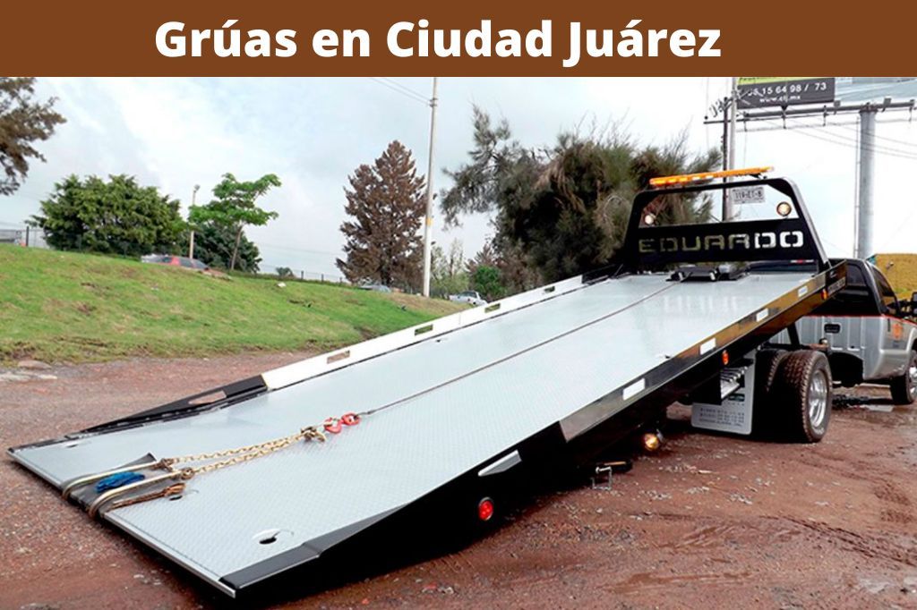 gruas en chihuahua